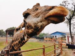 -西安秦岭野生动物园