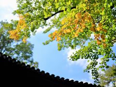 -惠山古镇·寄畅园