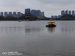 -顺峰山公园