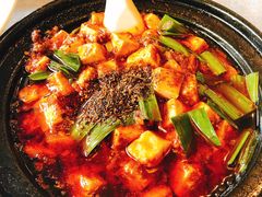 -陈麻婆豆腐总店