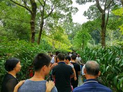 -韶山毛泽东同志故居