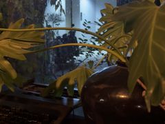 -BUND·FIVE外滩5号(天际店)