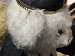 -成都泰迪熊博物馆