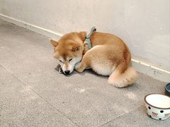 -三目仓咖啡(贤南路店)