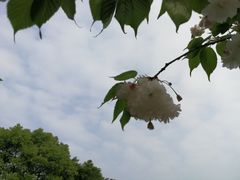 -南山植物园
