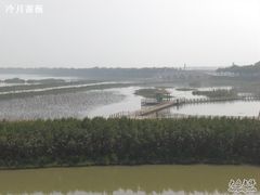 -大湾区中央湿地公园