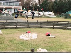 -前小桔亲子创意农场·草莓采摘·露营烧烤