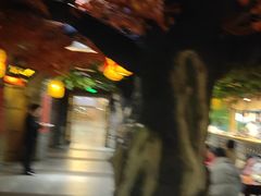 -艳阳天民俗村(公园路店)