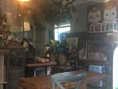 大堂-吉丁鸟咖·异宠·寄养