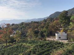 -塔川景区