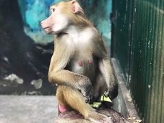 -无锡动物园·太湖欢乐园