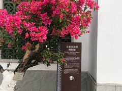 -广州神农草堂中医药博物馆