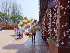 -郑州方特梦幻王国