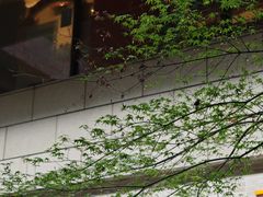 -瑞虹新天地月亮湾