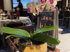 -顺德渔村·岭南一号