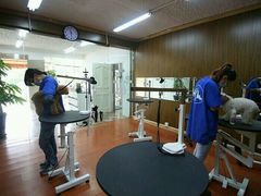 -鑫艺宠物美容培训学校