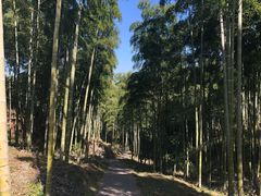 -天下银坑