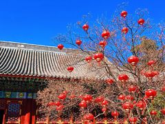 -香山公园