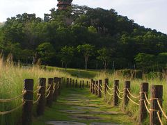 -红花山公园