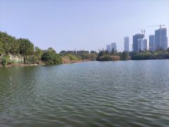 -五缘湾湿地公园