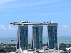 -新加坡瑞士史丹福酒店