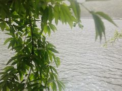-秦岭终南山世界地质公园翠华山景区