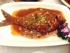 -田园小观园(武大店)