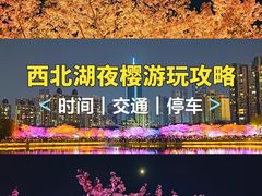 -西北湖绿化广场