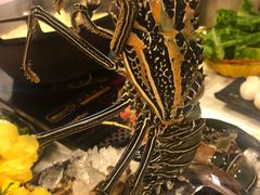 -鲜入围煮花胶鸡海鲜火锅