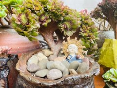 -又至园精品咖啡馆(将军塘店)