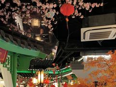 -荷塘秋月·本帮江浙菜(国权路店)