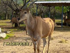 -西安秦岭野生动物园