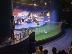 -重庆欢乐海底世界