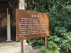 -石老人观光园