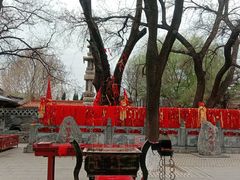 -大槐树寻根祭祖园