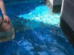 -固安来康郡来康温泉