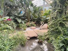 -沈阳植物园