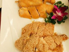 -国惠大酒楼(宝龙店)
