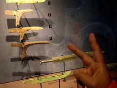 -盘龙城遗址博物院