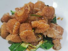 -品味居·首店·大连鲜活海鲜大连菜(东港店)
