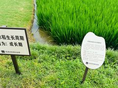 -良渚古城遗址公园