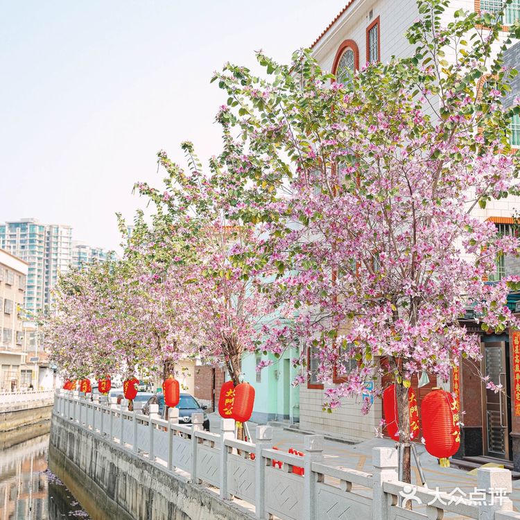 地道顺德菜⭐大门公饭店