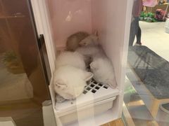 -狗道宠物(常熟印象城店)