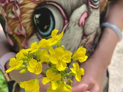 -北京山里寒舍度假酒店