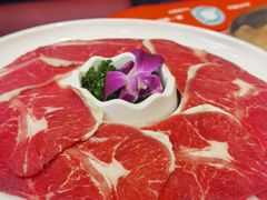 -秦炉烤肉(财富中心店)