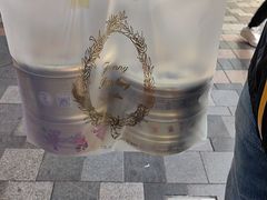 -珍妮曲奇聪明小熊(尖沙咀店)