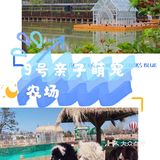 六一遛娃畅玩，就来9号亲子萌宠农场
