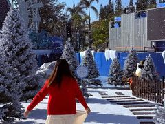 -汕头中海黄金海岸水上乐园