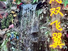 -正佳雨林生态植物园