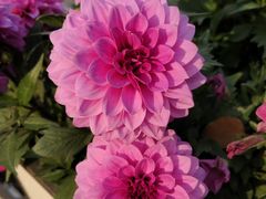 -中共上海市委党校 上海行政学院